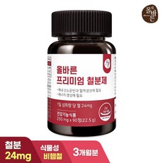 내일도착올바른 프리미엄 철분제 3개월분 총90정, 90정, 1개