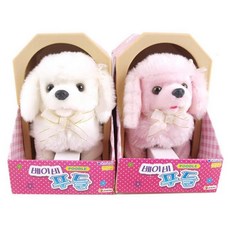 베이비펫아기푸들