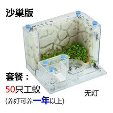 개미집 개미 공방 성 장원 별장 농장 관찰 케이스매우 빅사이즈 포장 2020, T01-J42-샤 우등(50개 작업자 개미)1년 인상
