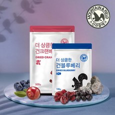 새콤달콤 건블루베리 200g / 건크랜베리 500g, 건블루베리100gx2봉, 1개