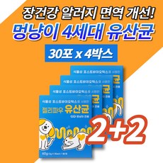  반려견 반려묘 애견 개 강아지 고양이 식물성 유산균 장도착 프로바이오틱스 포스트바이오틱스 식이섬유 북어분말 휴먼그레이드 장 면역 알러지 영양제 아연, 4박스 