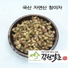 (강원약초) 국산 창이자200g ( 자연산) 국내 청정지역 자연에서채취한 도꼬마리 창이자 함께 쓰면 좋은약초 신이화 유근피 창이자 어성초 작두콩 느룹나무, 국산 어성초300g, 1개