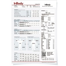 인바디270 용지 결과지 종이 프린트 출력표 500매 성인용 결과지 1박스 500매 혼합색상
