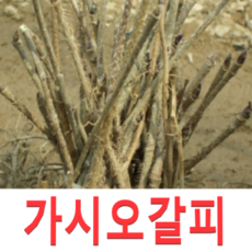 3af4ea0d0d8f42b903e2e747e2a8ced6307e4278a5e81d0d0d20eb9e387a.png