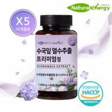 제놀파워풀