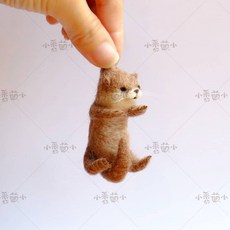 고슴도치양모