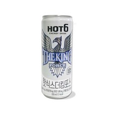 롯데 핫식스더킹포스 330ml X 24캔