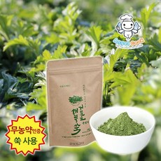 엔젤쿡 자연담은 거문도 해풍쑥 분말차 친환경 쑥사용, 1개, 100g, 1개입