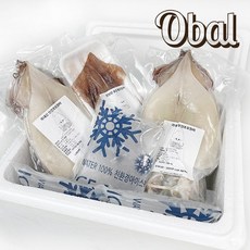 신선한 피데기 오징어 오발 원양산 반건조오징어 중550 5미 진공포장, 1개, 550g