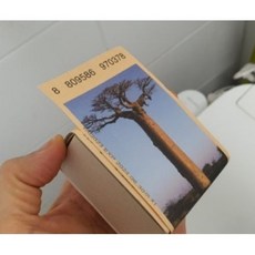 톤28약산성샴푸