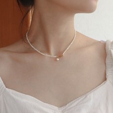 진주해수진주핵진주