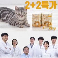 고양이 전문 유산균 영양제 설사 변비 구토 면역력 장건강 프로바이오틱스 프리바이오틱스 파우더 캣바이오 2+2