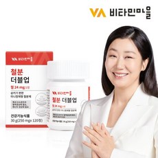 비타민마을 철분 더블업 철분제 1박스 120정 4개월분, 120g, 2개