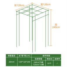 주목나무분재판매