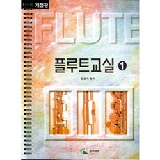 플룻수리는처음이지