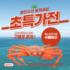 [선주직송] 구룡포 자숙 홍게 3kg(8~12마리) 산지직송 빠른배송, 3kg, 1개