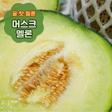 멜론제철