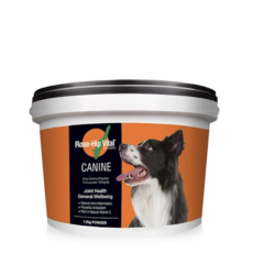 로즈힙 바이탈 케이나인 반려견 고나절 항산화 영양제 1.5kg, 뼈/관절강화, 1통, 파우더