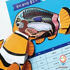 감기걸린물고기