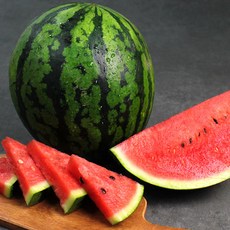 청년농부 당도선별 하우스 꿀 수박, 1개, 5-6kg (특품)