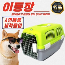 [도기프랜드] 강아지 고양이 캐리어 패션 이동장 켄넬 (핑크/라임/스카이블루), 이동장 [스카이블루 L]