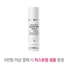 히스토랩미스트