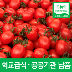 [100% 안심] 친환경 무농약 대추 방울토마토 1kg 2kg 4.5kg 공공기관 납품