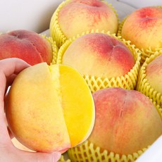 경북청도복숭아