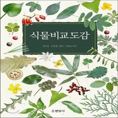 새책-스테이책터 [식물비교도감]-김옥임.남정칠 지음 이원규 사진, 식물비교도감