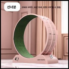 고양이 캣휠 운동기구 대형 프리미엄 스타캣휠 베어링 카펫 캣워커 고양이캣휠 인스타캣휠, 5. 핑크 (118x120cm), 1개