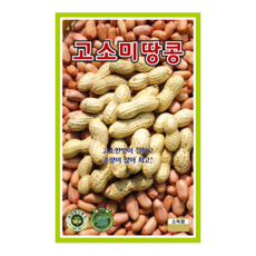 고소미땅콩 500g 땅콩 씨앗 종자 모종 텃밭 주말농장 KS종묘 그린종묘농약사, 1개