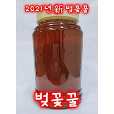 벚꽃꿀