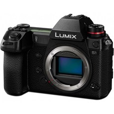 24.2의 Panasonic LUMIX S1 전체 프레임 미러리스 카메라, 단일옵션