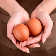 [청라상회 무항생제] 당일생산 신선계란 대란 60구 90구 HACCP 골드계란, 3개, 30구