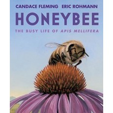 Honeybee:The Busy Life of APIs Mellifera, Neal Porter Books