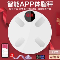 해외 스마트 체지방저울 전자계량 체중충전 가정용 다이어트 블루투스 전문 앱-58390, 단일옵션, 옵션03