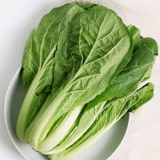 어린배추