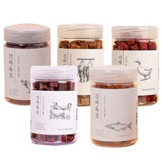 강아지수제간식원데이클래스피자