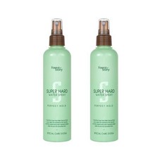 포레스트스토리 슈퍼하드 워터 스프레이 252ml 2개 / 강력세팅 모발보호 헤어스프레이, 슈퍼하드 워터 스프레이 252ml 2개 / 강력세팅 모