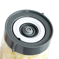 [미국] 698909 Save Time Easy Tracking Day & Month Wide Mouth Fermenting Kit. Waterless Airlock Lids P, 3 Pack + Pump, Barnwood Grey