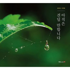 김기찬사진집