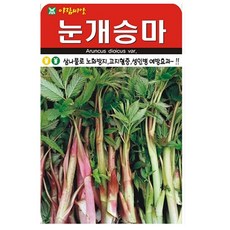 눈개승마 씨앗 (2봉 합 1000립) 약초 씨 종자, 2개