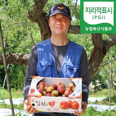 김천 자두 대석자두 퍼플퀸 1KG 2KG 고당도, 후무사자두1kg(상)7월15일~, 1개