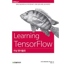 러닝 텐서플로:딥러닝 영상처리와 NLP부터 텐서보드 시각화 멀티스레딩 분산처리까지, 한빛미디어