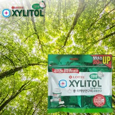 자기전에 씹는껌 자일리톨 휘바 오리지널105g 리필, 105g, 1개
