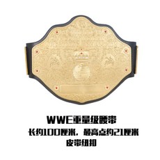 ufc챔피언벨트 TOP01