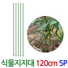 식물지지대 120cm 5개1세트 고추지지대 국화 금전수 지주대, 식물지지대-120cm-5P, 5개