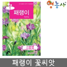 패랭이꽃 씨앗 1500립 중포장 패랭이, 패랭이중포장, 패랭이중포장