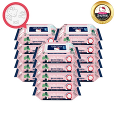 헬로키티비데티슈