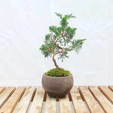 사어천진백